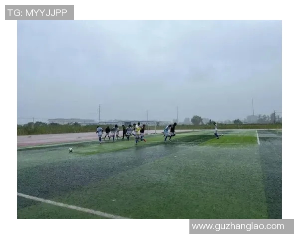 龙华区足球场周边休闲娱乐设施全攻略助你畅享足球盛宴 龙华区足球场周边休闲娱乐设施全攻略助你畅享足球盛宴