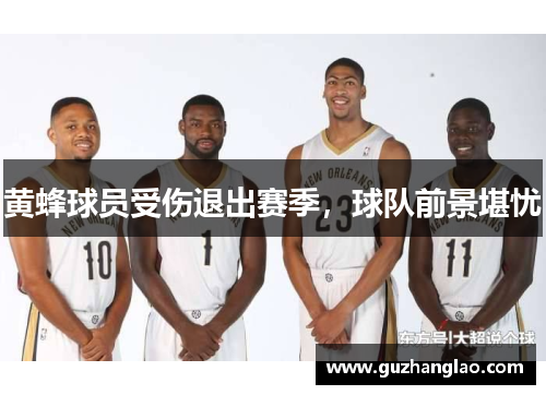 黄蜂球员受伤退出赛季，球队前景堪忧