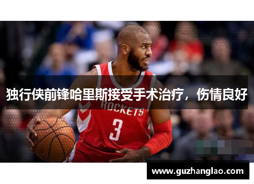 独行侠前锋哈里斯接受手术治疗，伤情良好