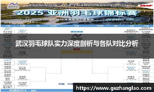 武汉羽毛球队实力深度剖析与各队对比分析