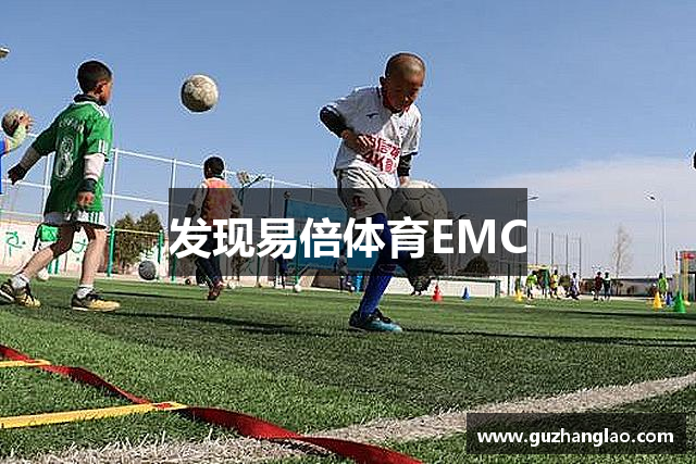 发现易倍体育EMC